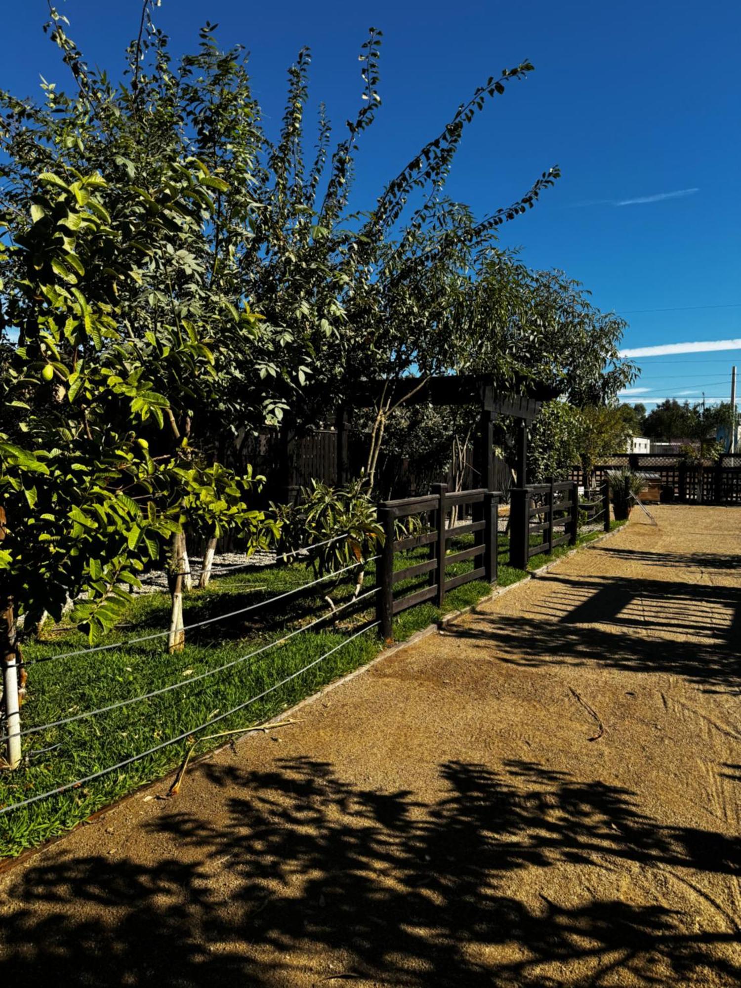 Hotel Estancita Elena à Valle de Guadalupe Extérieur photo